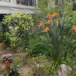 Pavillon D'angleterre Au Coeur De La 멍똥
